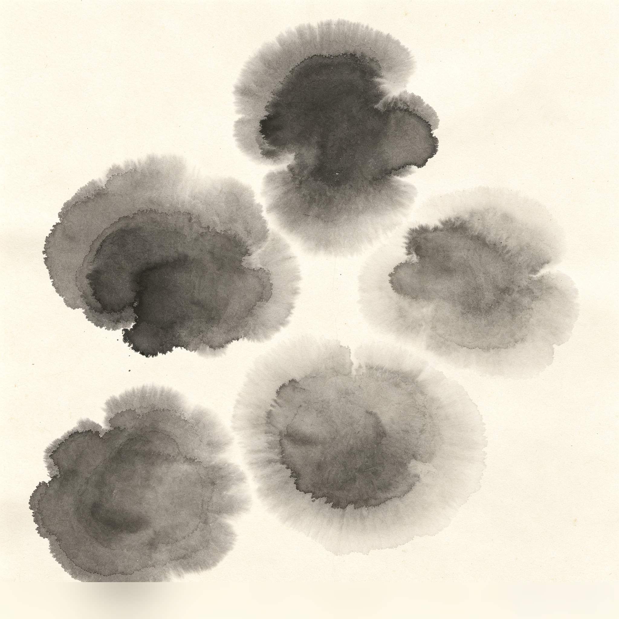 Zhengyi Five Taoist - Cover