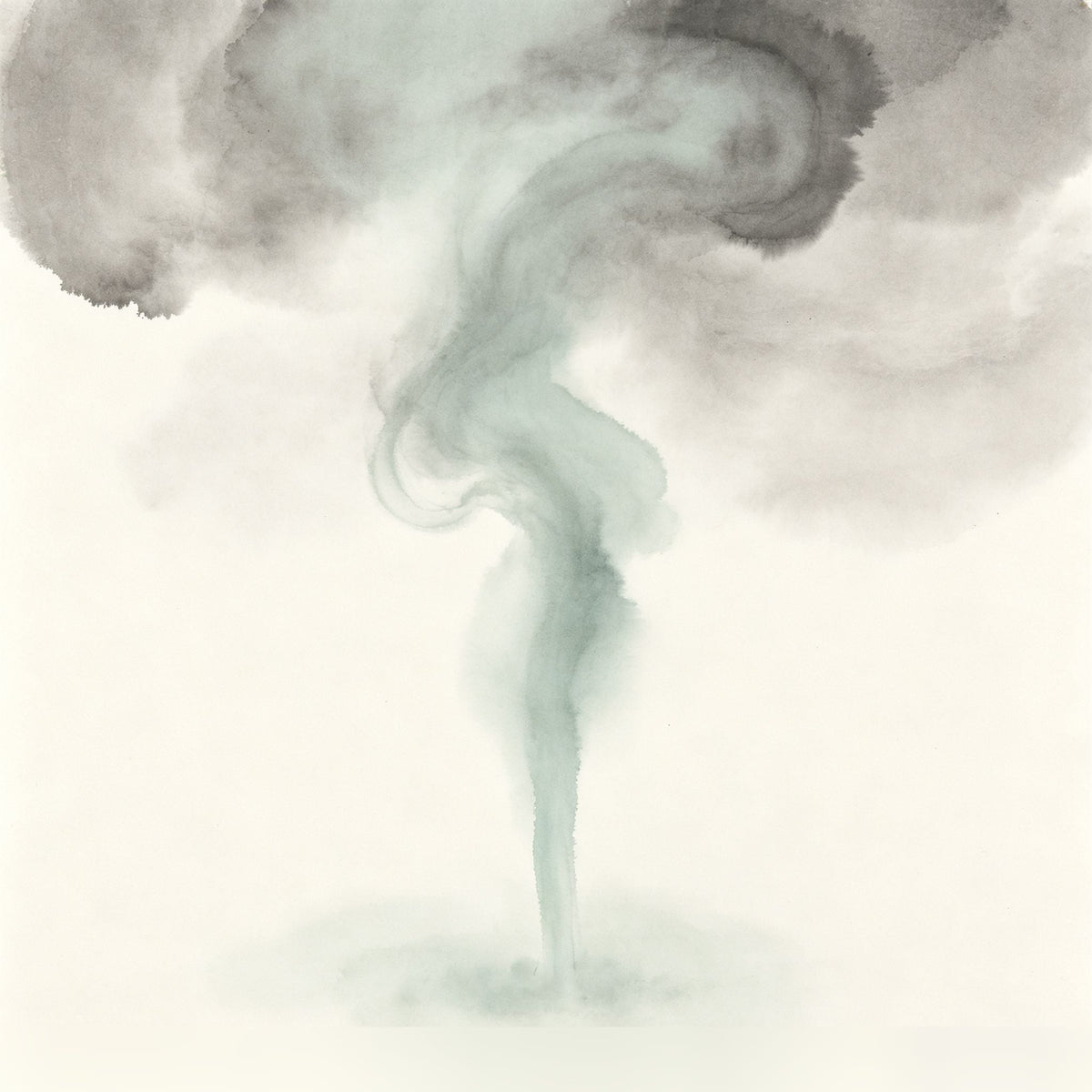 Shao Sheyan Taoist - Cover