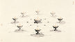 Li Shi Fang: Saluting the Ten Directions in Taoist Rite 礼十方
