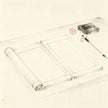 表申 Biǎo Shēn — Taoist dual-format memorial document submitted to celestial court during jiao ceremonies