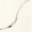 Zhao Jiang Taoist - Cover