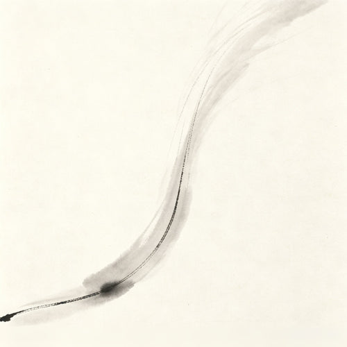 Zhao Jiang Taoist - Cover