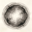 Internal Body Response Taoist - Cover