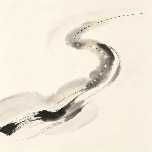 Whipping Dragon Big Dipper Taoist - Cover