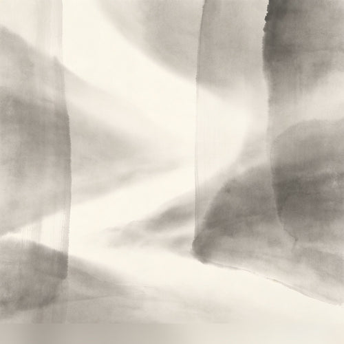Bi Wubing Taoist - Cover