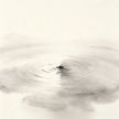 Buxing Shuishang Taoist - Cover