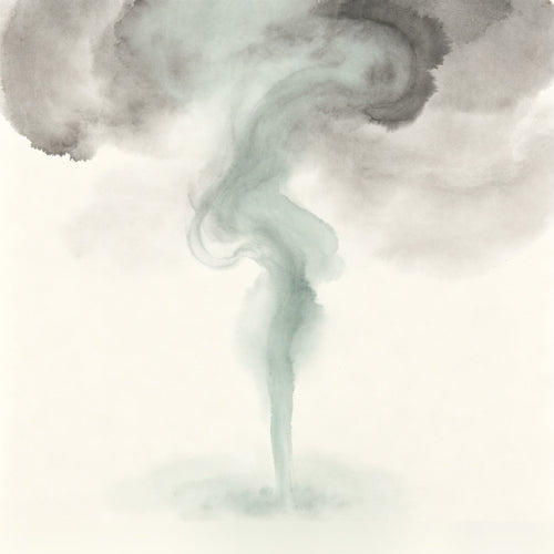 Shao Sheyan Taoist - Cover