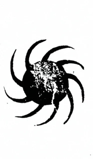 Crimson sun with nine rays of light, symbol of the Yangwu True Fire Nine-Ray Talisman
