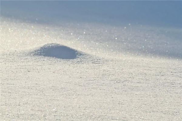 Omen - Dream of Snow on the Ground?