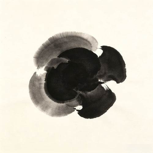 Fu Characters Taoist - Cover