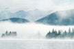 Omen - Dream of a Fog-Shrouded Road?
