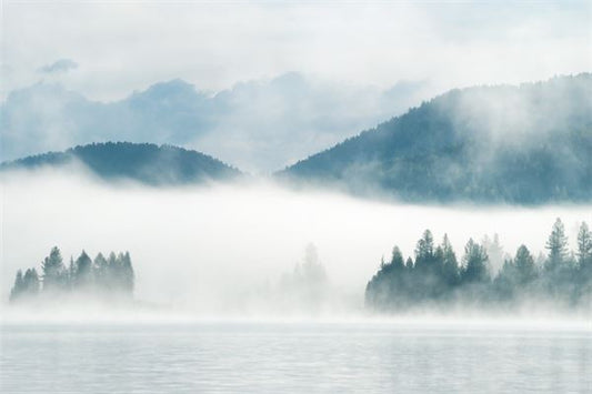 Omen - Dream of a Fog-Shrouded Road?