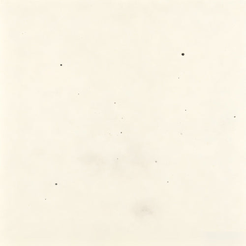 The Twenty Four Taoist - Cover