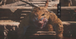 Black Myth: Wukong：The Reason for the Miserable Fate of the Tiger Vanguard's Family