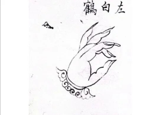 White Crane Hand Seal — The Sacred Mudra of Taoist Thunder Rites