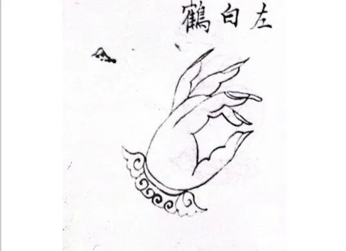 White Crane Hand Seal — The Sacred Mudra of Taoist Thunder Rites