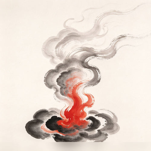 Fire-Star Fu - Cover scene
