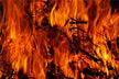 Omen - Dream of a Raging Fire Burning a Mountain?
