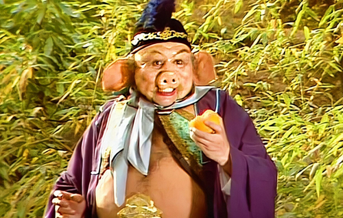 Why Did the Marshal Tianpeng Transform into a Pig?