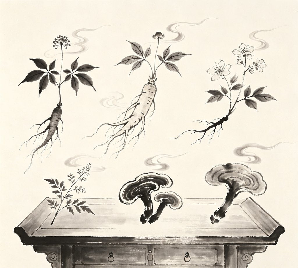 Wen Shi Zhen Jing Chapter 9 – 九藥 (Nine Medicines)
