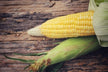 Breaking corn cobs in cornfield — omen?