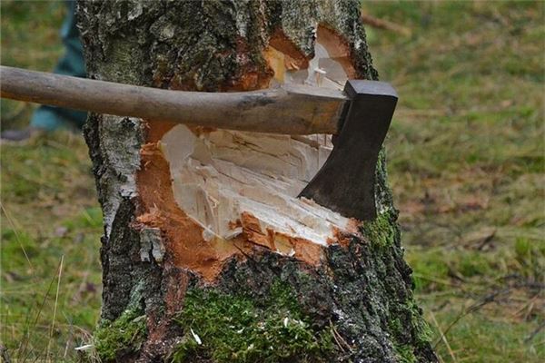 Climbing Mountain to Cut Wood - Shared Labor Omen