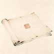 Dao Lu Si Taoist imperial office document with official seal ink painting