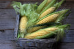 Dream - Harvesting Corn with Family Prosperity Sign