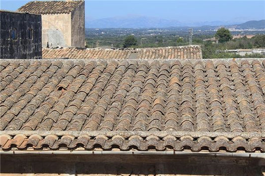 Dream Omen - Roof Hole Impact on Career Business Peace