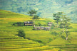 Dream Omen - Strange Village Impact on Career Business