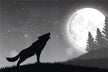 Dream meaning - married woman dreams of a wolf