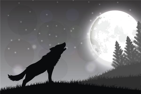 Dream meaning - married woman dreams of a wolf