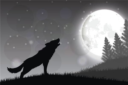 Dream meaning - married woman dreams of a wolf