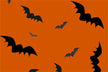 Dream meaning - pregnant woman dreaming of a bat