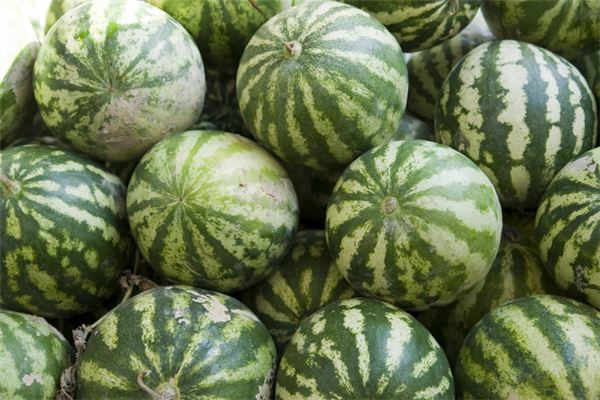 Dream of Big Watermelon - Home Bounty Sign