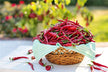 Dream of Red Chilies - Omen of Passion & Vitality