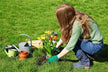 Dream of Replanting Flowers - Omen of Renewal