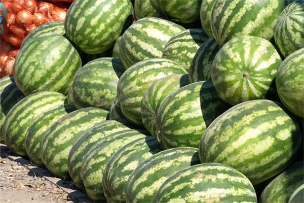 Dream of abundant watermelons in field — meaning?