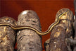 Dream omen loved one bitten by snake