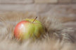 Dreaming of Apples and Giving Birth to a Boy --Omen？