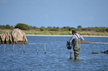 What does it mean to dream of catching fish?