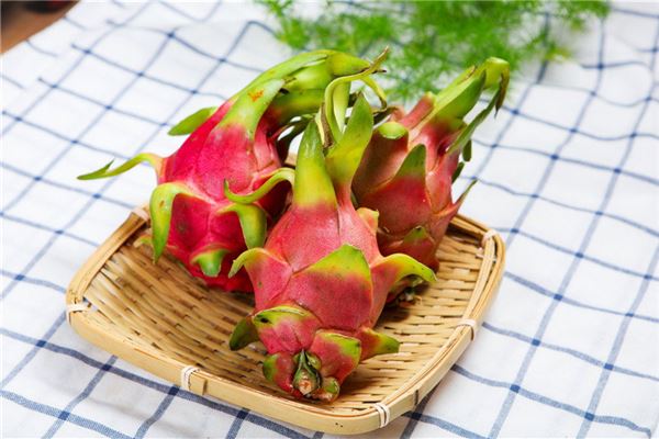Dreaming of Dragon Fruit - Omen of Unique Blessings