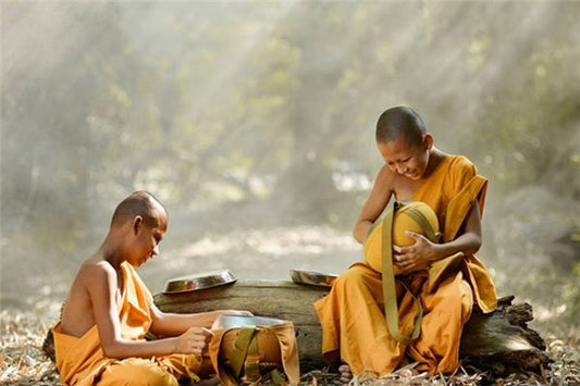 Dreaming of Monks and Nuns