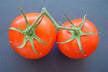 Dreaming of Tomatoes - Omen of Vitality & Passion