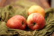 Dreaming of stealing apples from another's tree — omen?