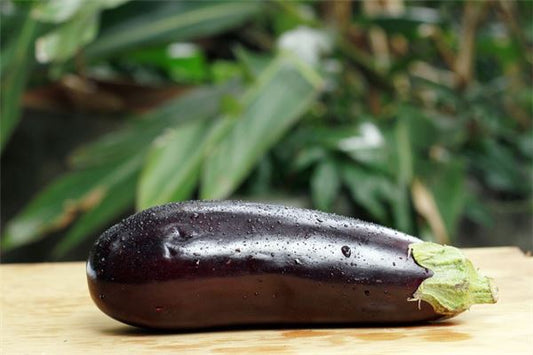Eggplant seedling bearing big purple fruit — Omen?