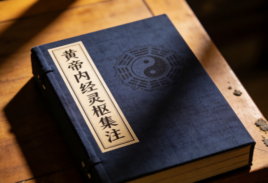 Huangdi Neijing Lingshu - Collected Commentaries