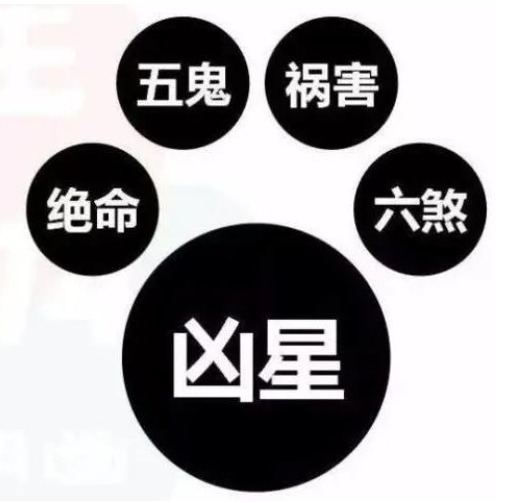 What Is Digital Energyology? Discover Your Life Code