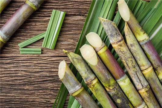 Is dreaming of sugarcane a pregnancy dream?