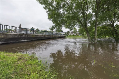 Married Woman Dream of Rising Water